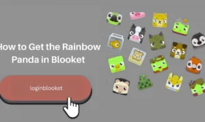 blooket market packs