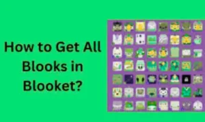 how to get all blooks in blooket